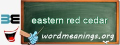 WordMeaning blackboard for eastern red cedar